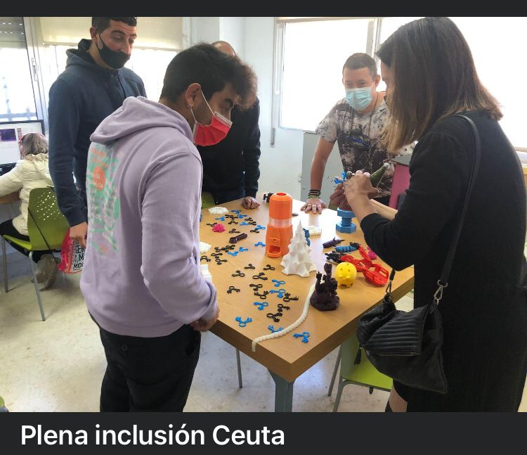 Plena Inclusión