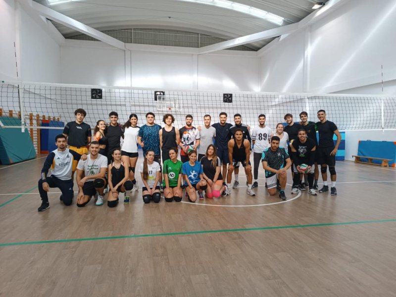 Voley Voley